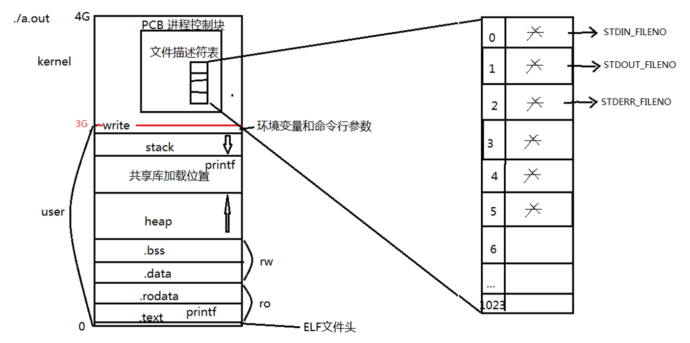 image-20240318215501848